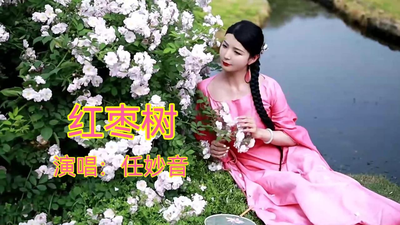 任妙音演唱《红枣树》