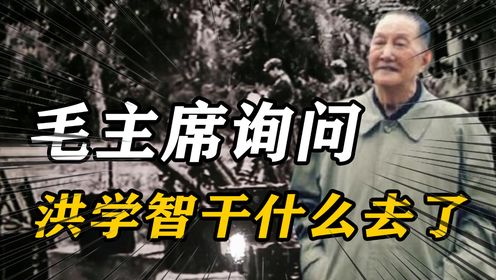 71年9月毛泽东与周恩来见面，聊天时询问：洪学智现在干什么去了