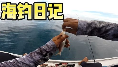 海钓真是太享受了,一边钓鱼一边还能欣赏美景_高清1080P在线观看平台_腾讯视频