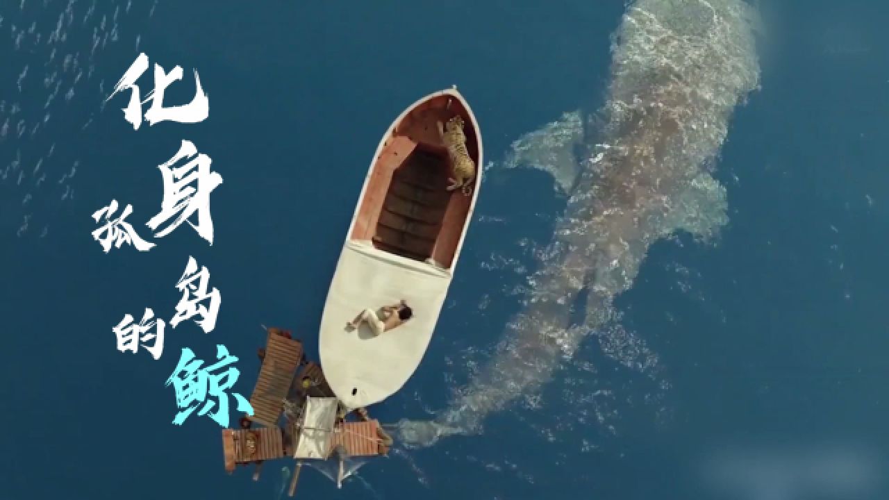 b895-化身孤岛的鲸周深歌曲mv演唱表演节目动态led大屏幕背景视频高清