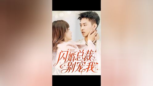 闪婚总裁别宠我～完结