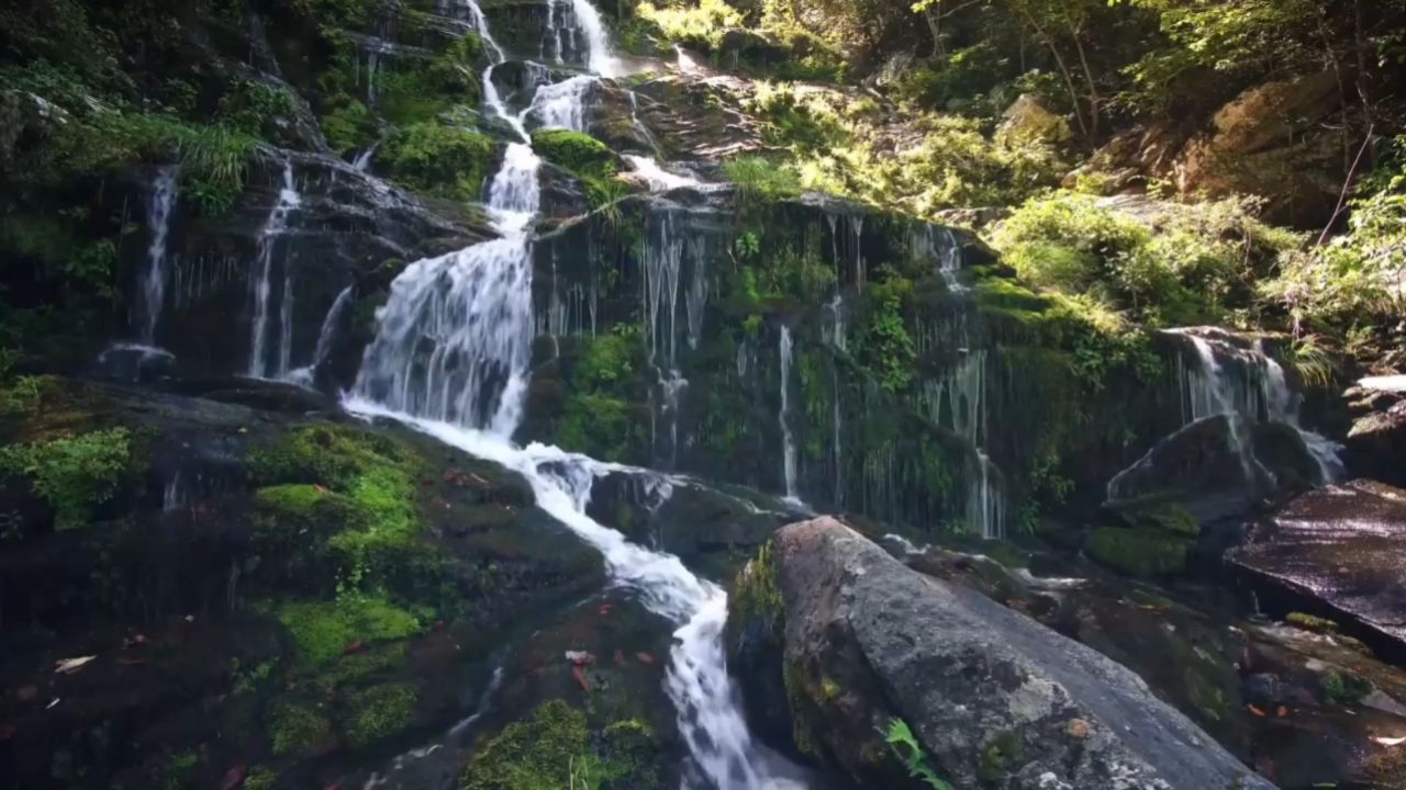 柳爽-夏日回音 高质量伴奏