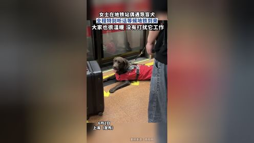 女士地铁站偶遇导盲犬，全程特别听话，大家也很温暖没有打扰它工作