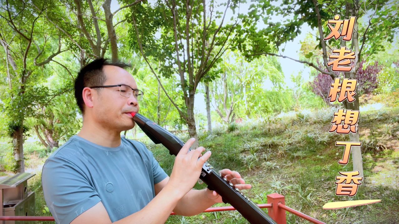 电吹管吹奏《刘老根想丁香》