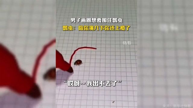 男子画圈想要围住瓢虫,瓢虫:陪你演几下你还上瘾了