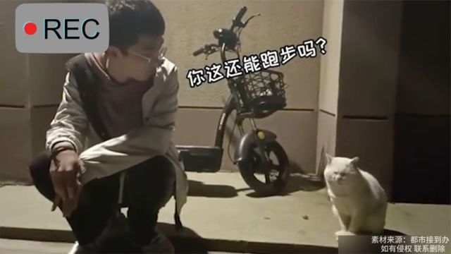 男生与猫咪“学长”灵魂聊天,猫咪表情逗乐众人:句句扎心!