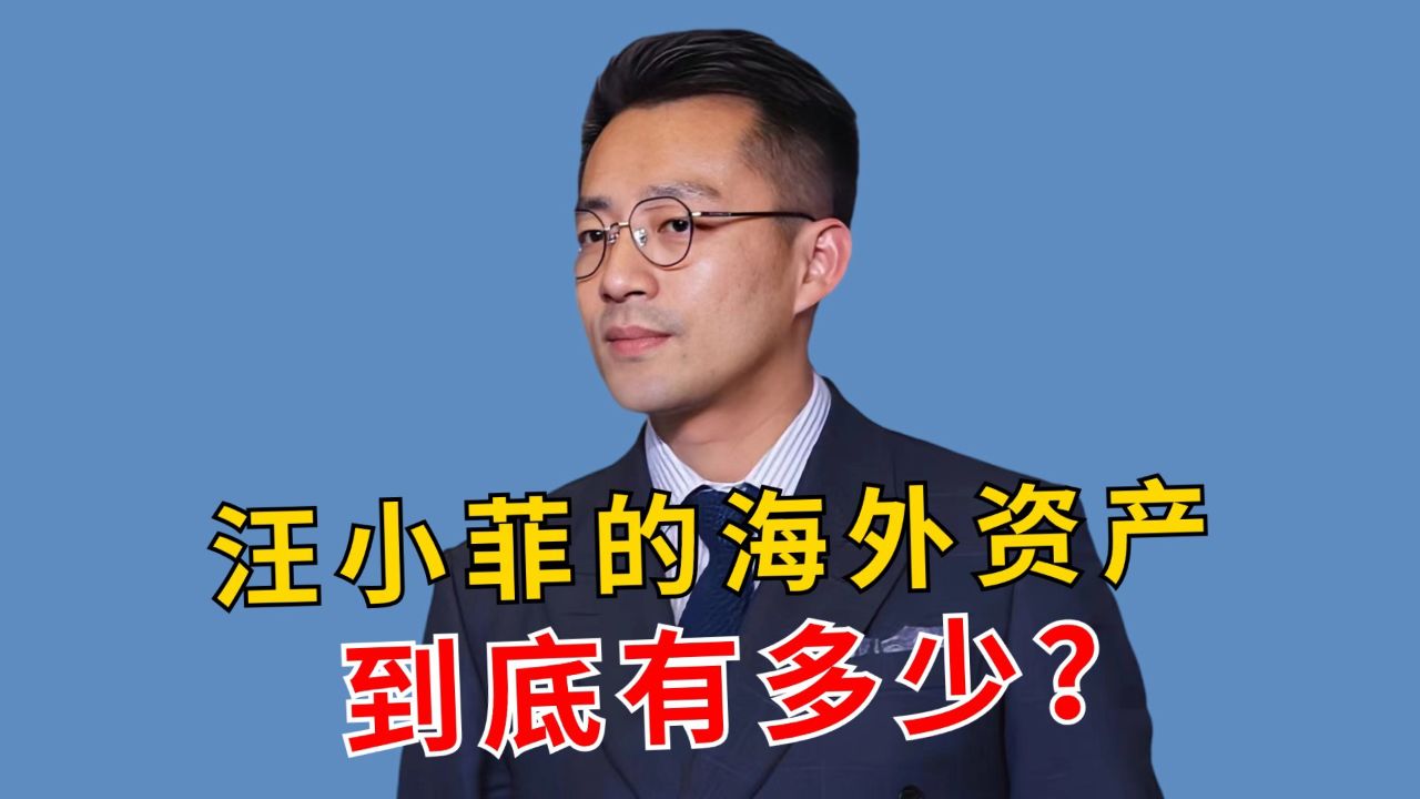 细数汪小菲海外资产:纽约豪宅被拍卖,瑞士身份因月租6万被曝光
