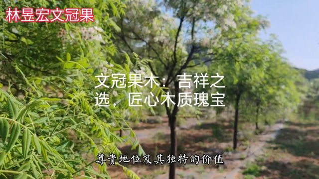 文冠果木:吉祥之选,匠心木质瑰宝