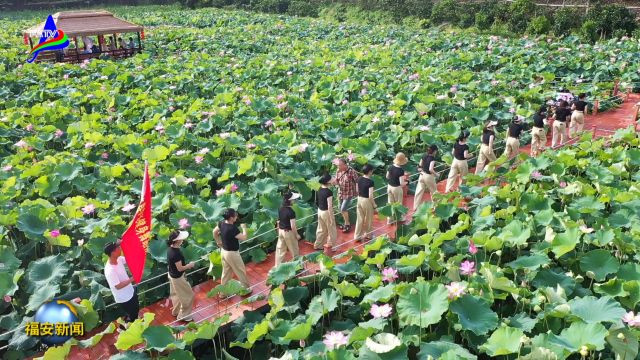 20240702溪尾镇林江村举办乡村振兴传统文化雅集活动