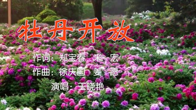 王晓艳牡丹开放(词:郑宝春、米宏,曲:徐庆国、姜愿,公交制作)