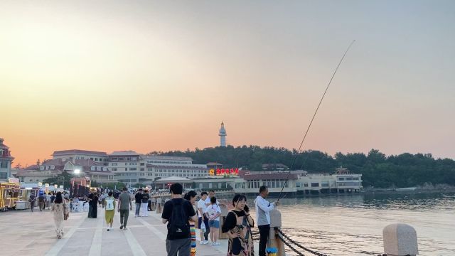 烟台海边,大海与海鸟,海风和海浪,心情安静