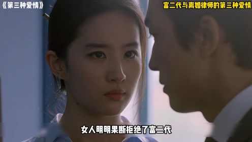 富二代男人与离婚律师的第三种爱情