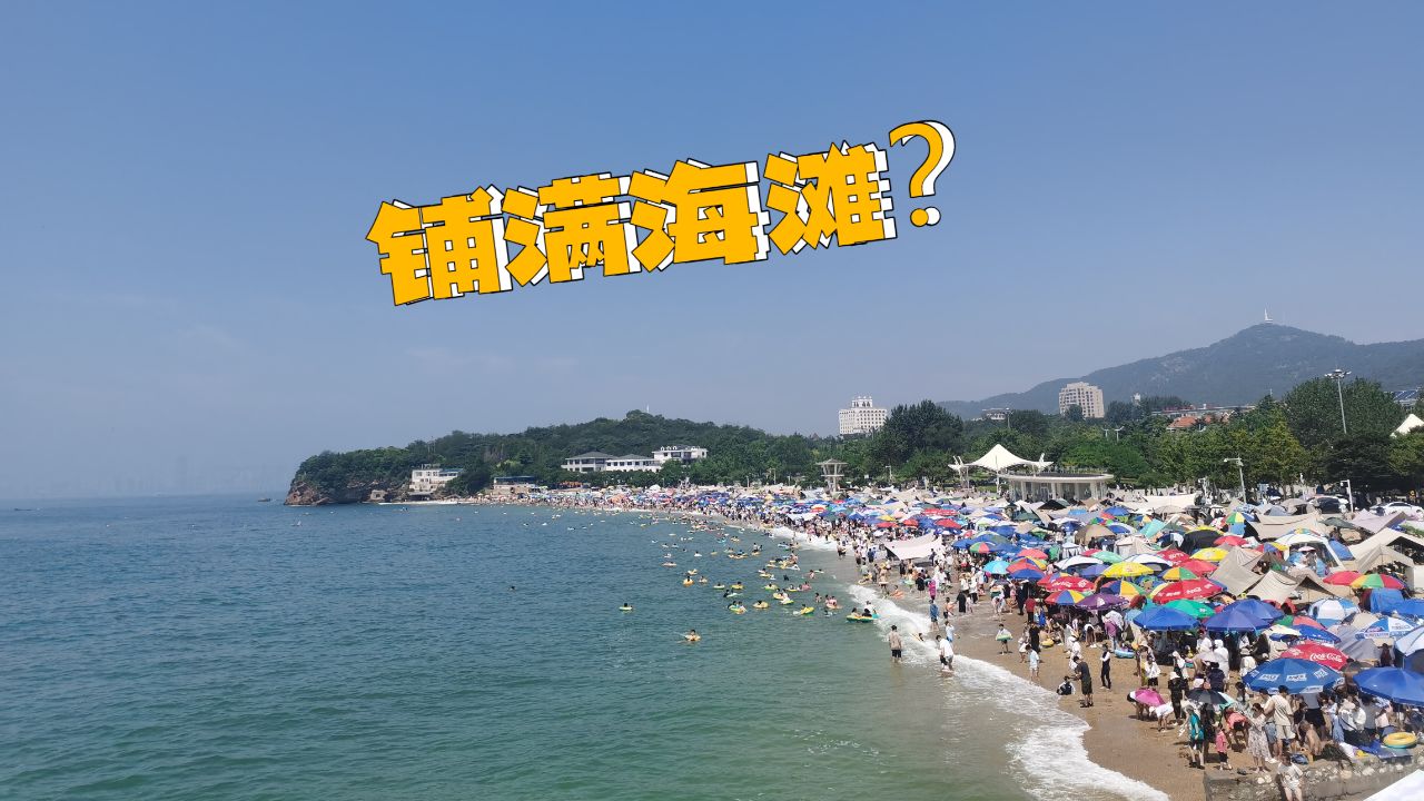 到大连傅家庄海滨公园惊讶了,当地人都没见过大海吧?