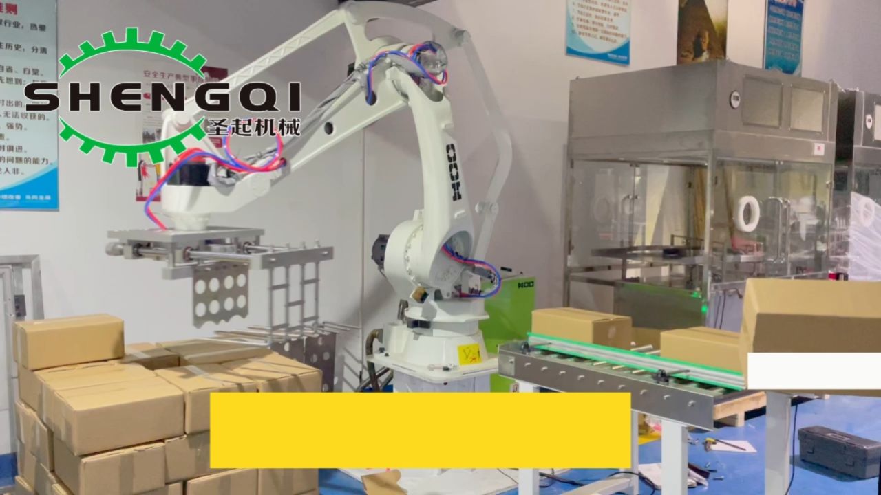 流水线纸箱编织袋自动搬运码垛机器人中国制造