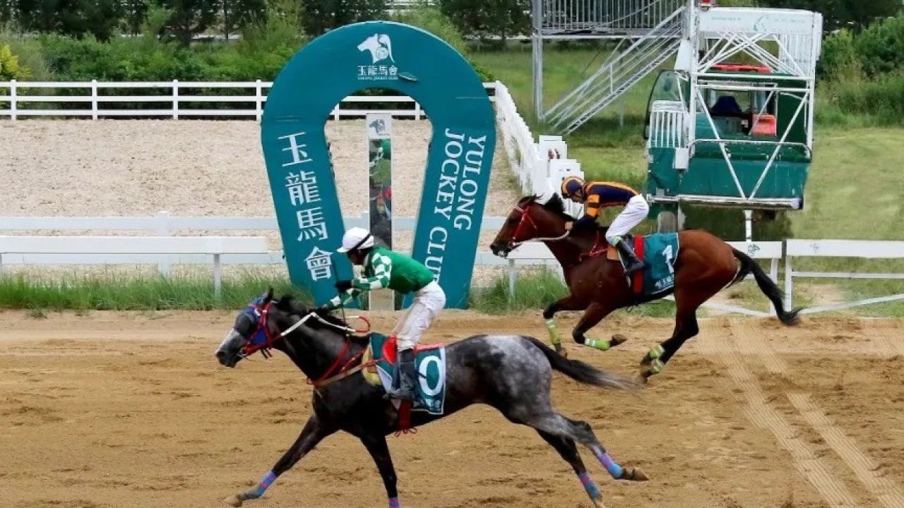 20240817玉龙国际赛马公开赛d15 第5场 进口纯血马系列常规赛未冠赛