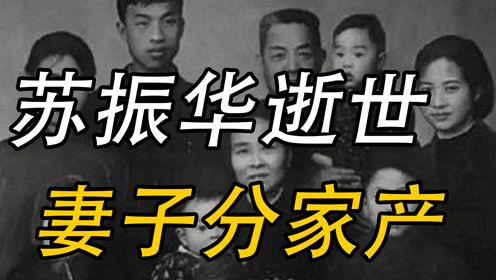 苏振华去世后，妻子召开家庭会议：财产一人一份，抚恤金由我掌管