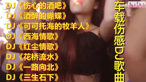 DJ《伤心的酒吧》《酒醉的蝴蝶》《可可托海的牧羊人》《西海情歌》