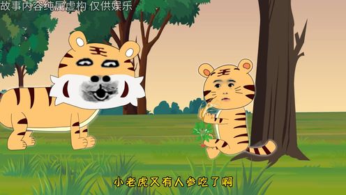 第15集：小老虎又开始吃人参了