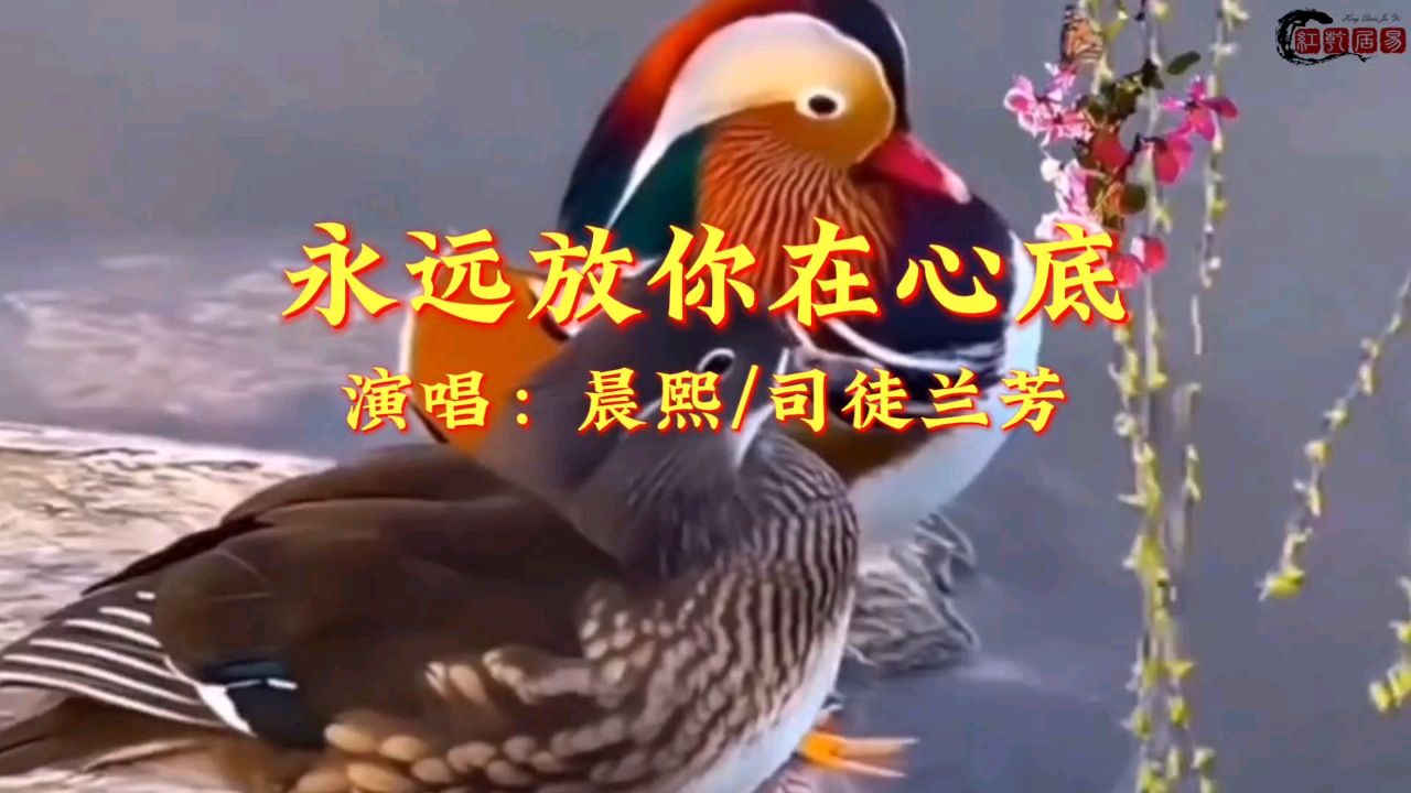 歌曲《永远放你在心底》