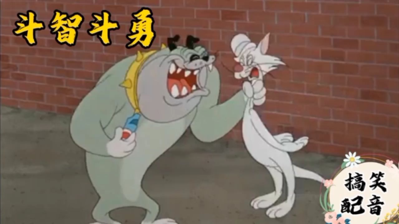 搞笑配音:败局已定关键时刻小猫咪出场打败了大傻狗_高清1080P在线观看平台_腾讯视频