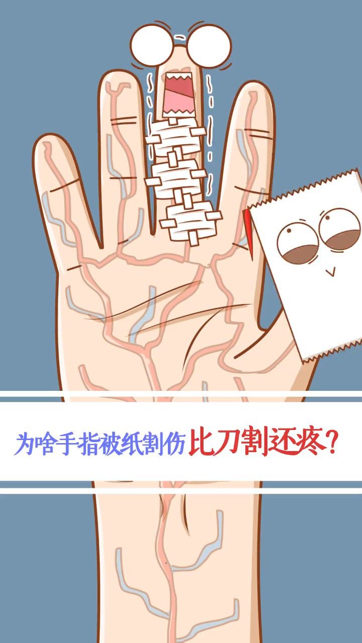 为啥手指被纸片割伤比刀割还疼?