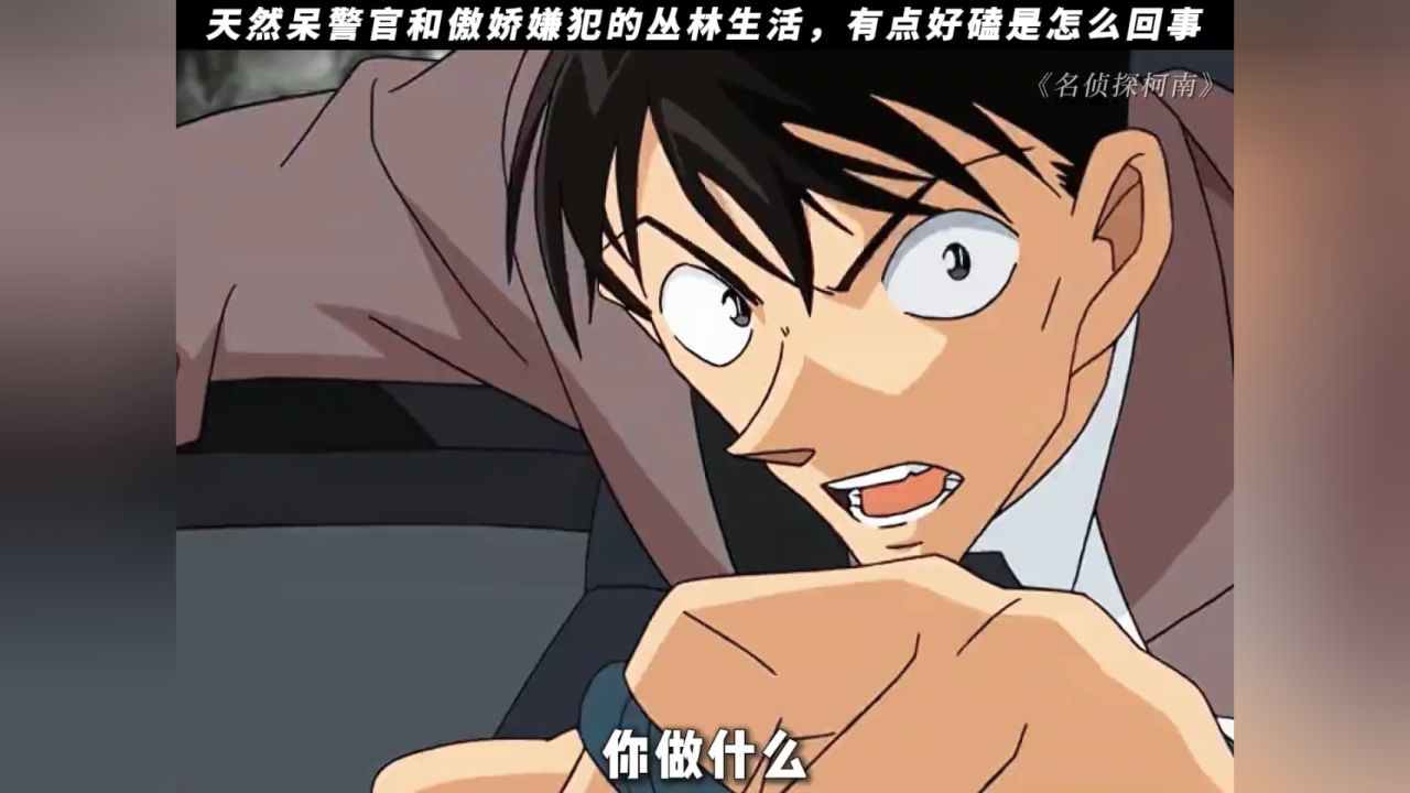 天然呆警官和傲娇嫌犯的丛林生活#名侦探柯南#高木涉#暑期放映厅2024#二次元_高清1080P在线观看平台_腾讯视频