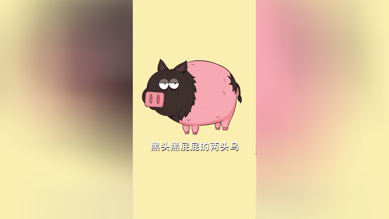 我是不白吃日常篇 第二季 88集