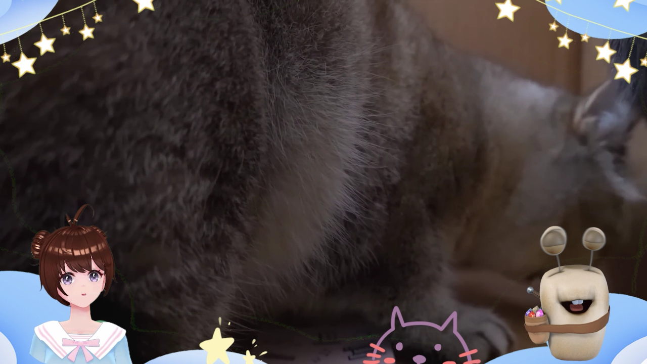 白白侠的猫咪朋友 2集