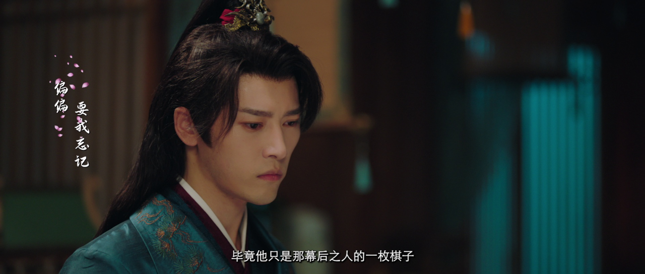 无主之花 13集