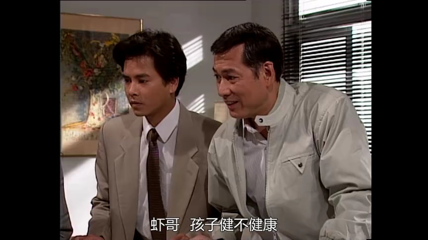 灰网[普通话版] 25集