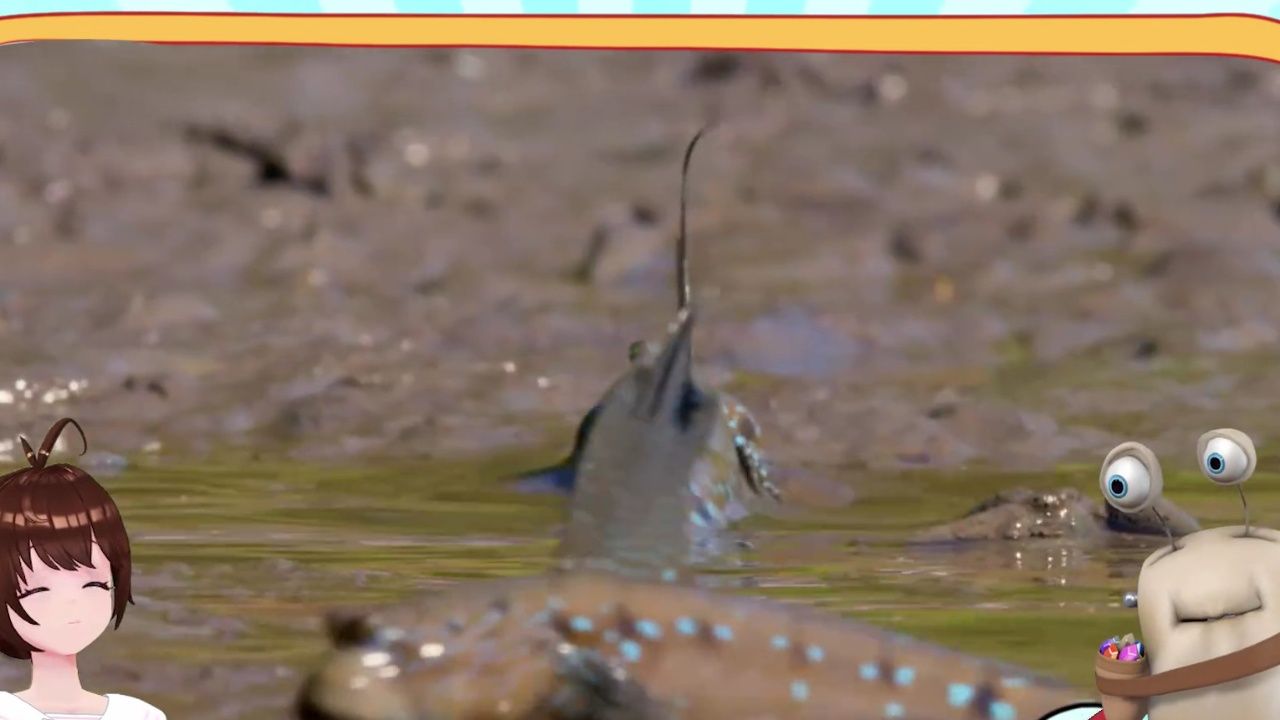 弹涂鱼表演爬树技能