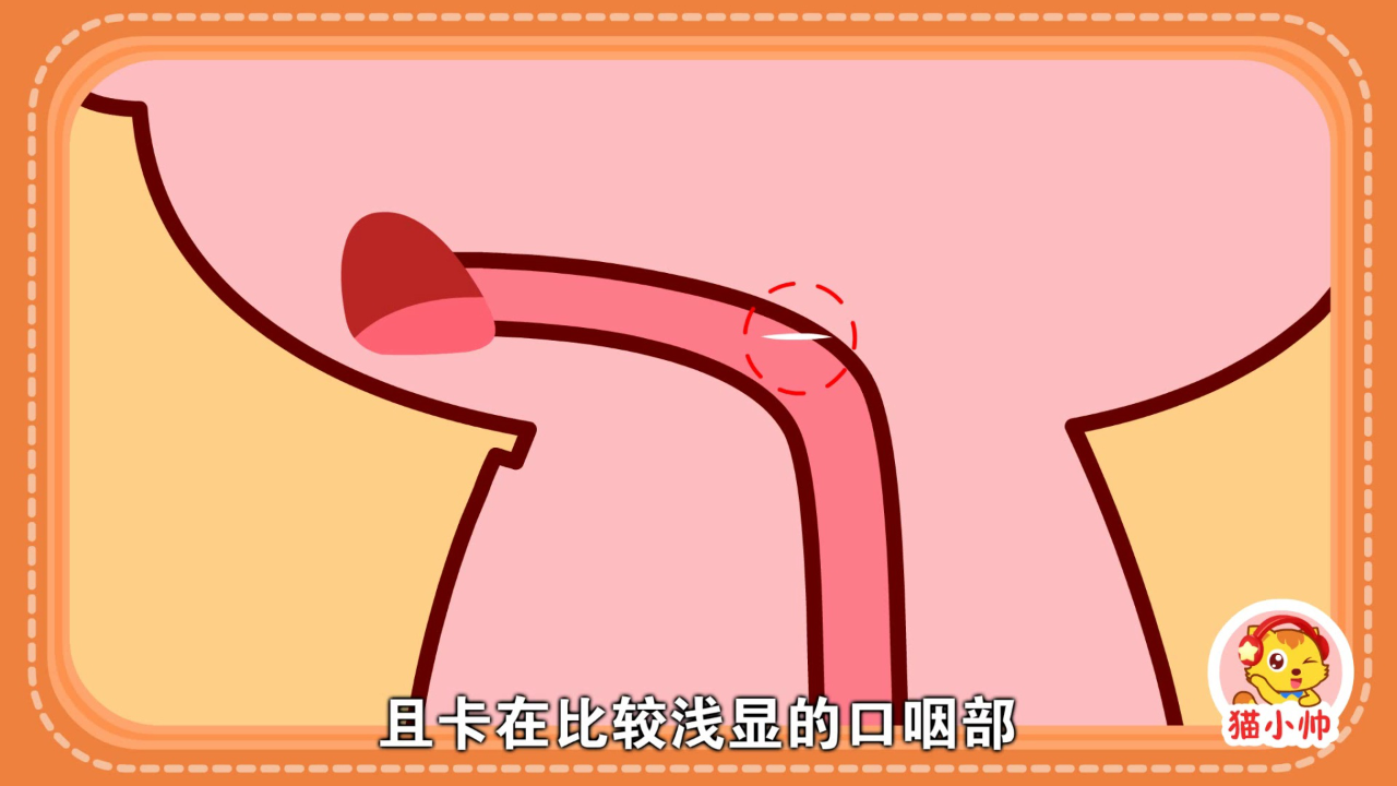 猫小帅安全对对队第一季 37集