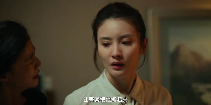 反诈破局 13集