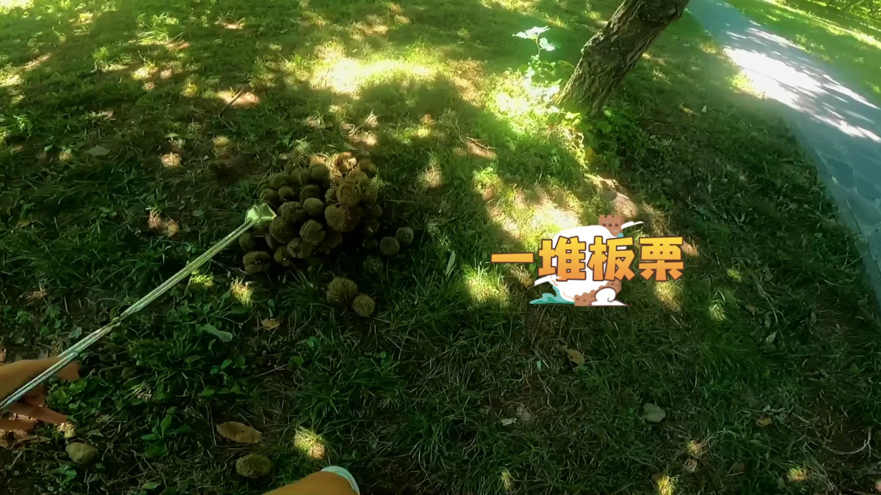 蕃尼探长城 22集