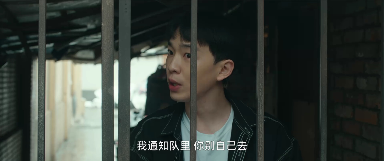 被隐匿的真相精编版 17集
