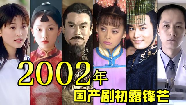 2002年国产剧初露锋芒!国产剧影史2002~