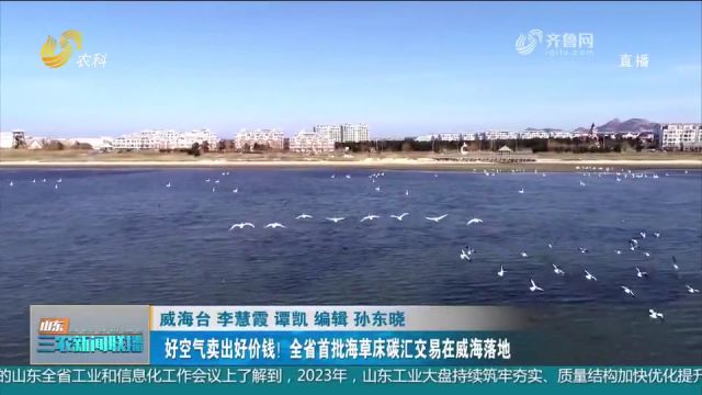 好空气卖出好价钱!全省首批海草床碳汇交易在威海成功落地