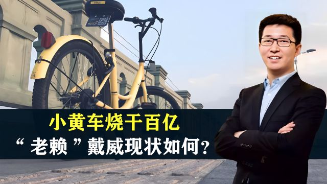 ofo兴衰史,曾经风头无两为啥败了?是时局?是资本?是人性?