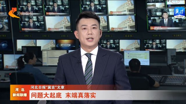 河北日报“冀言”文章丨问题大起底 末端真落实