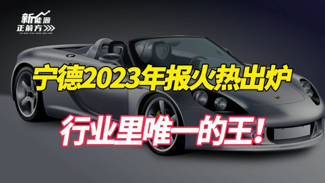 逆天业绩,行业里唯一的王!关键已经不能更便宜了!