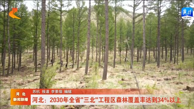 河北:2030年全省“三北”工程区森林覆盖率达到34%以上