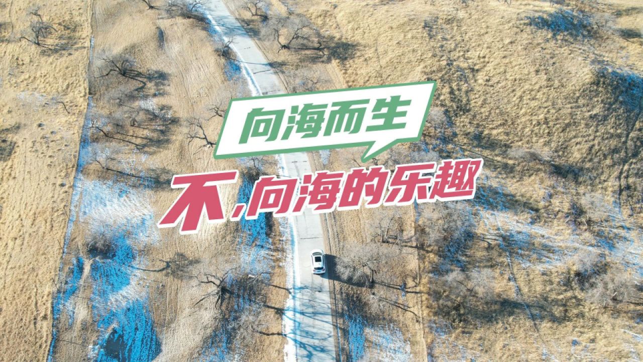 去看海不如去向海,开缤智自驾领略别样风景!