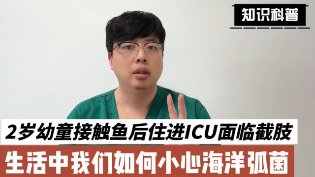 2岁幼童接触鱼后住进ICU面临截肢,生活中我们应如何警惕海洋弧菌