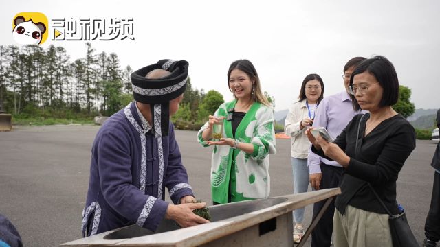 台青变身中国台湾网一日记者,现场拜师非遗传承人“老茶王”⠀