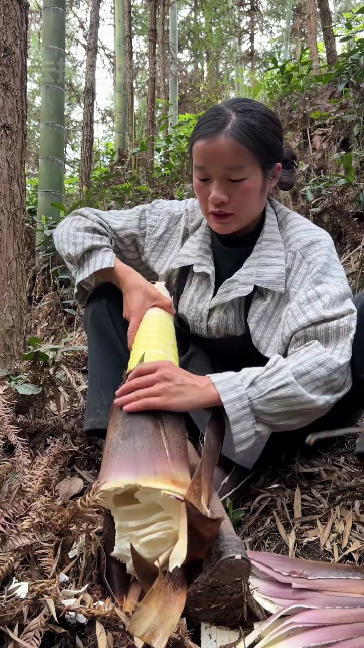 又到一年挖笋季！沉浸式教你30秒快速剥笋、挖笋技巧，过程超解压_高清1080P在线观看平台_腾讯视频