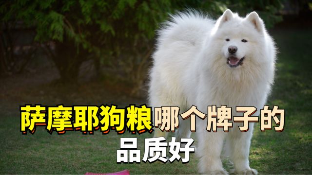 狗粮哪个牌子品质好?新手养狗看过来