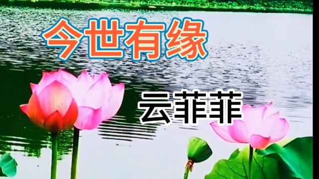 云菲菲《今世有缘》,声线动人,旋律优美,送给有缘人,有你世界更美好!