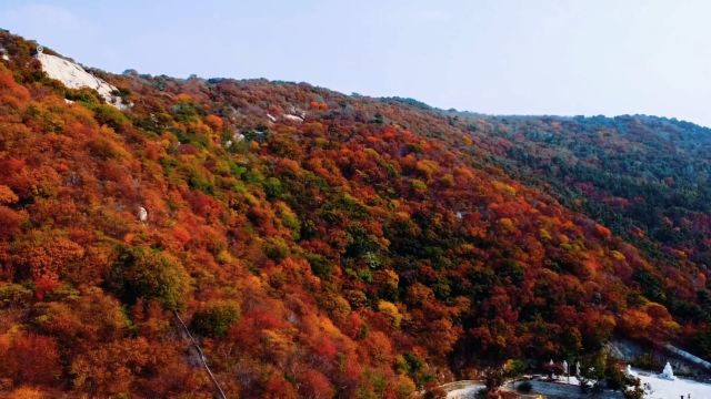 莱州寒同山,只给你最好的风景,给你最美的秋天#魅力胶东