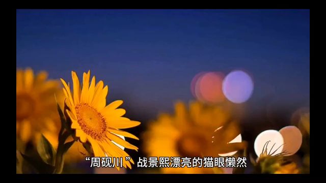 《超虐!夫人死后,霸总疯了》周砚川战景熙小说完整版