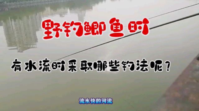 野钓鲫鱼时,有水流时采取哪些钓法呢?